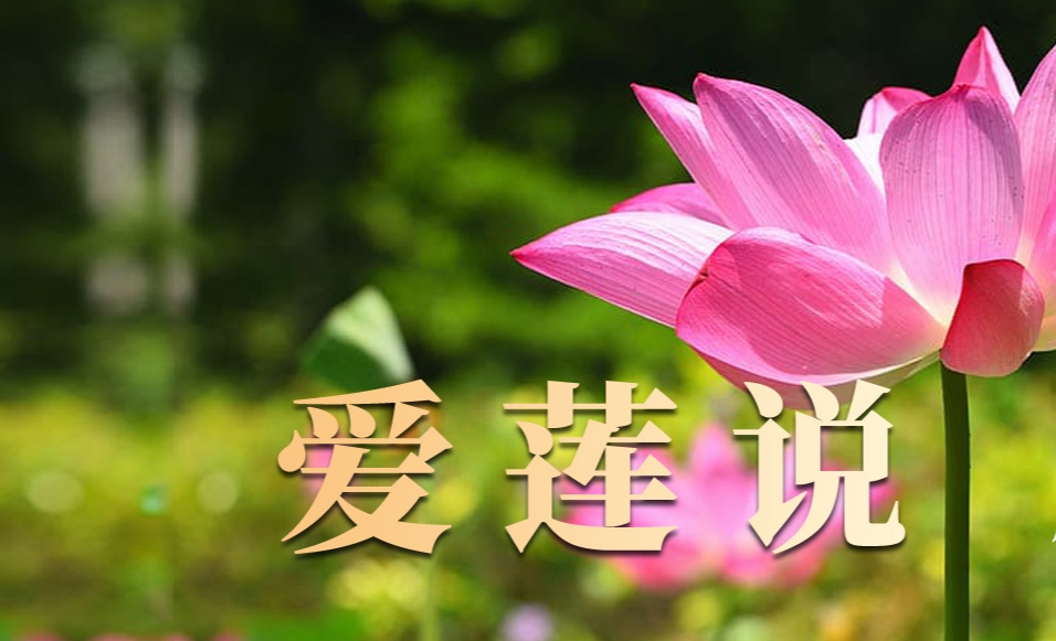 �ɹ����� ����zdy�����޹�˾ �Wվ�İ������Wվ������ý�w��Сҕ�l��ͬ
